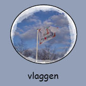 Vlaggen